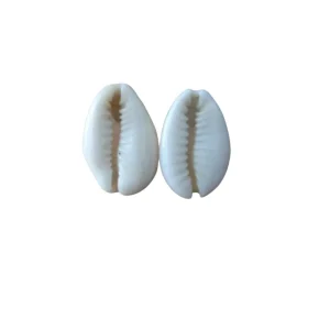 Orecchini Conchiglia